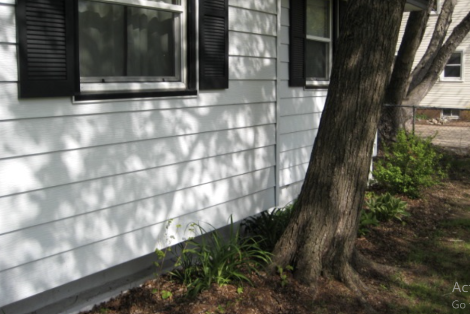 How Far Should You Plant Trees From Your House? Tips to Avoid Costly Damage How Far to Plant Trees