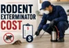 Rodent Exterminator Cost in 2026: Real Prices by Job, Treatment Type, Inspection Fees, and Removal Services Rodent Exterminator Cost